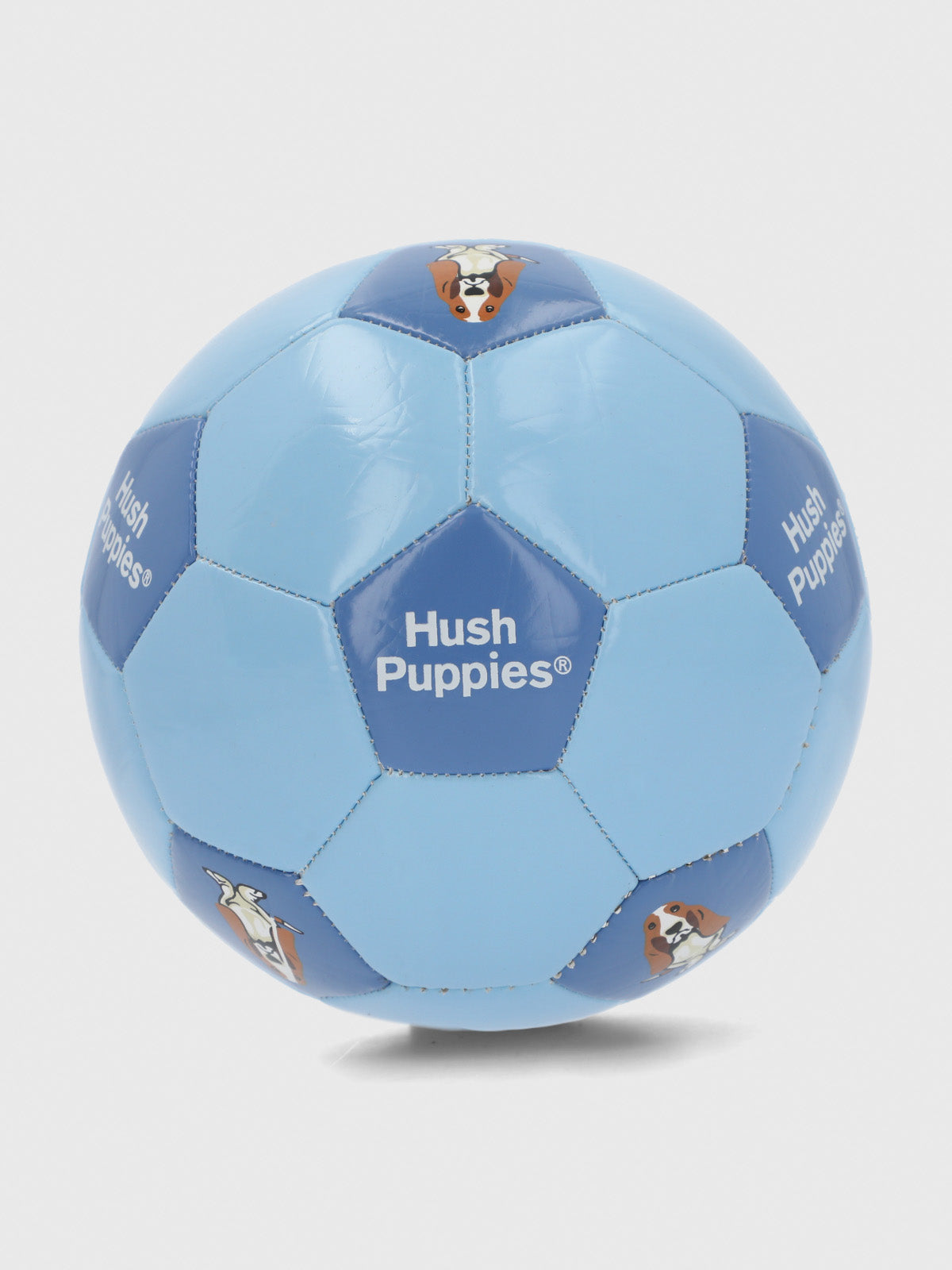 Pelota  Niño Minibalon Hp Dog Azul Hush Puppies