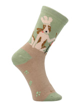 Calcetin Algodón Niño Pack Gift Proff Multicolor Hush Puppies