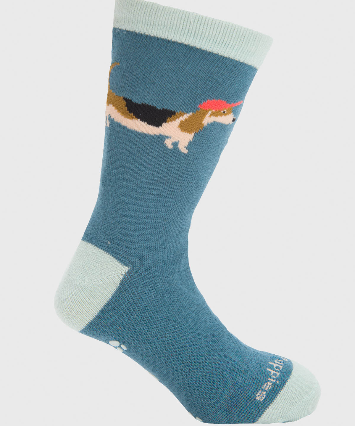 Calcetin Algodón Niño C Cap Dog Azul Hush Puppies