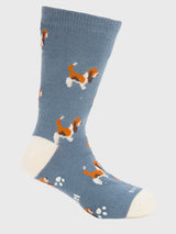 Calcetin Algodón Niño C Basset Azul Hush Puppies
