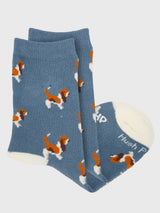 Calcetin Algodón Niño C Basset Azul Hush Puppies