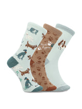 CALCETIN ALGODÓN NIÑO PACK DOG MULTI HUSH PUPPIES