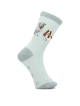 CALCETIN ALGODÓN NIÑO PACK DOG MULTI HUSH PUPPIES