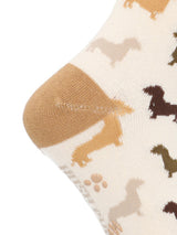 CALCETIN ALGODÓN NIÑO C DACHSHUND BEIGE HUSH PUPPIES