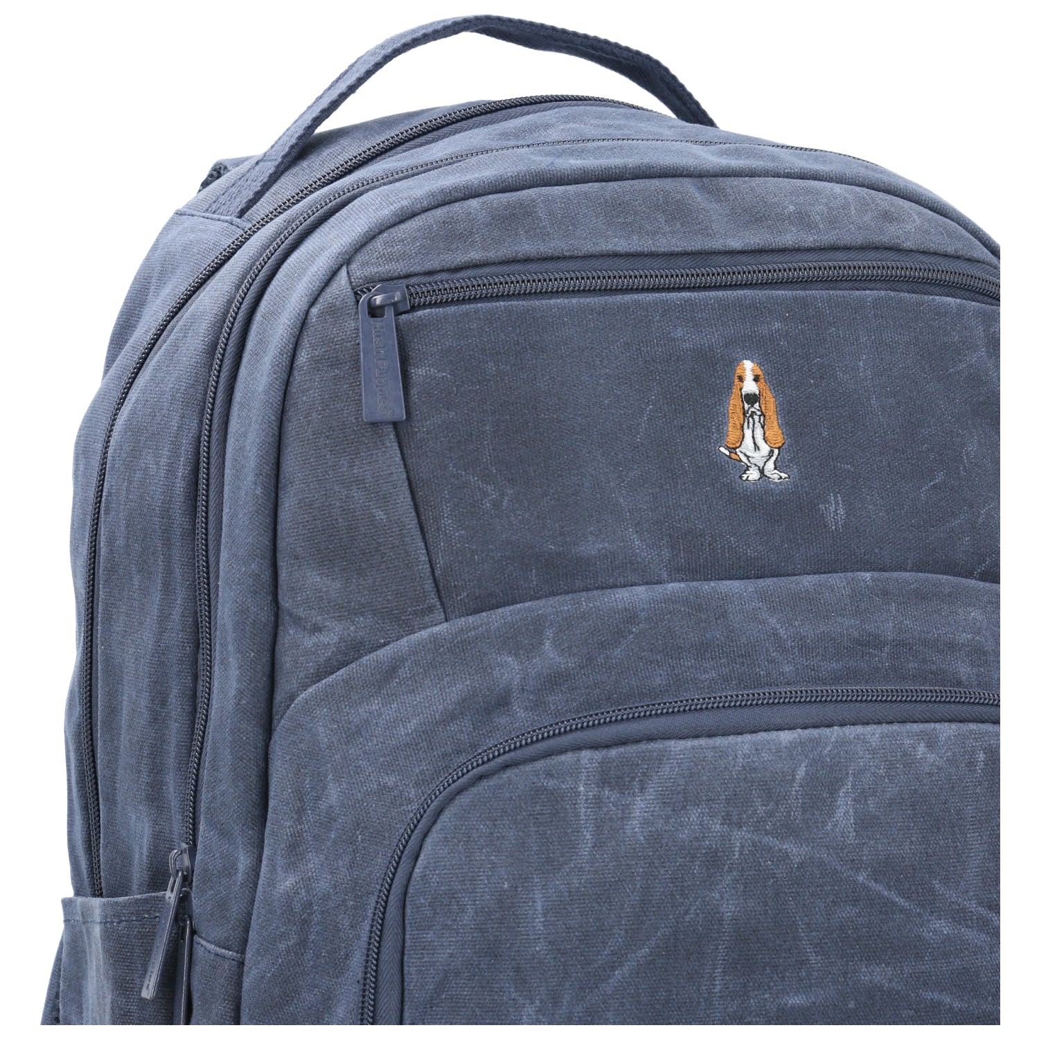 Mochila Canvas Engrasado Niño Basset Backpack  Azul  Hush Puppies