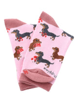 Calcetin Algodón Niña C Dachshund Rosado Hush Puppies