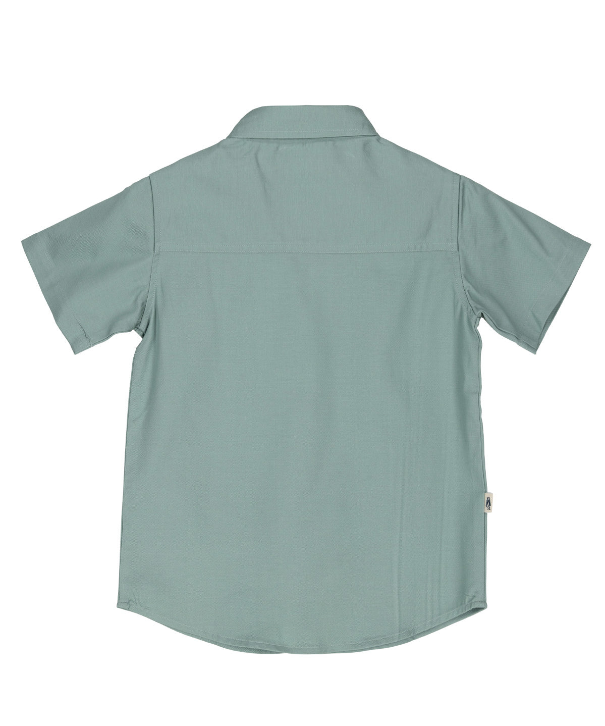 Camisa Niño Wild Verde