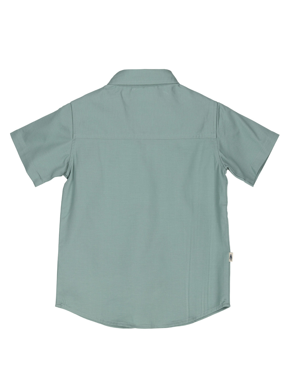 Camisa Niño Wild Verde