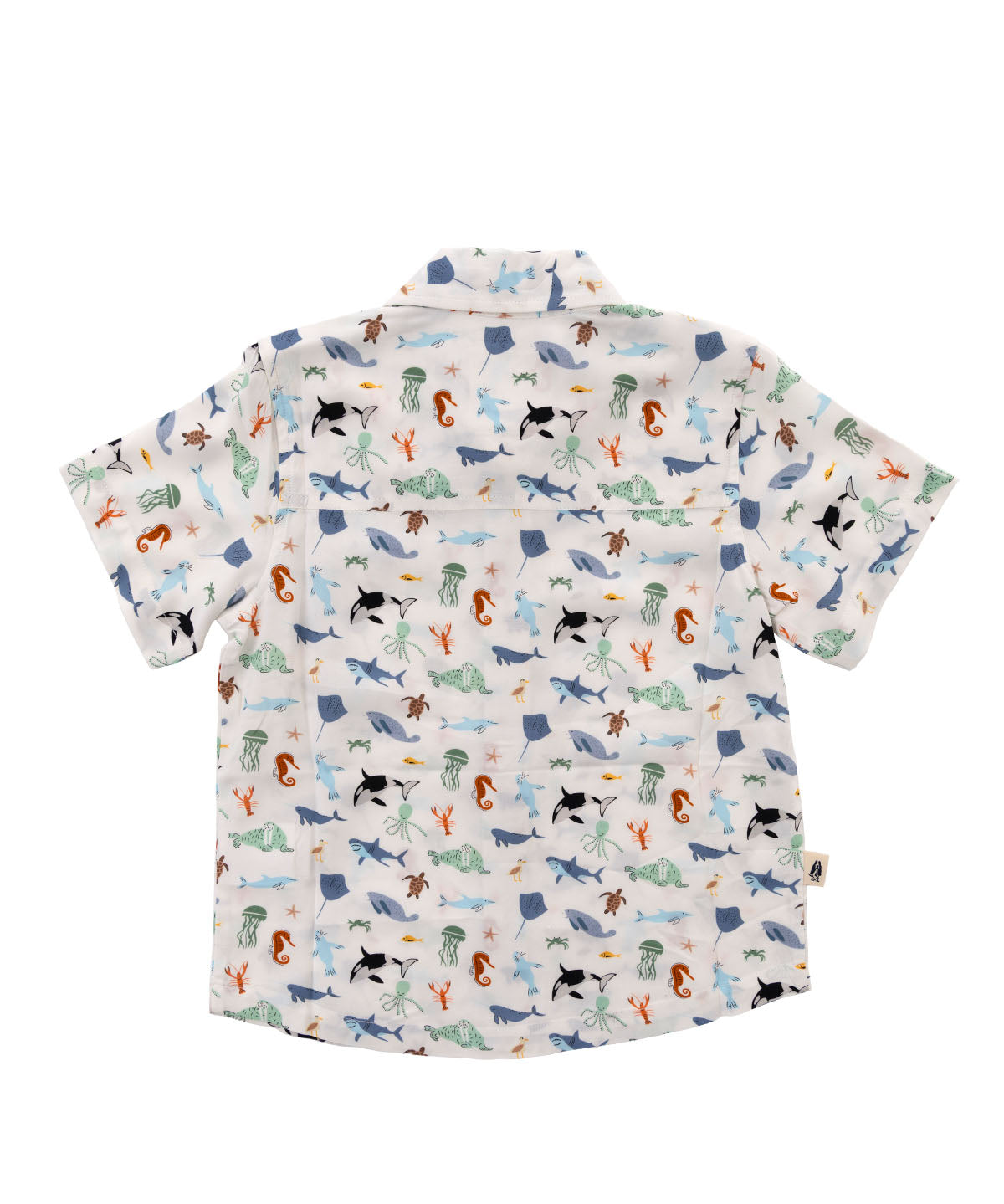Camisa Niño Guayabera Blanco