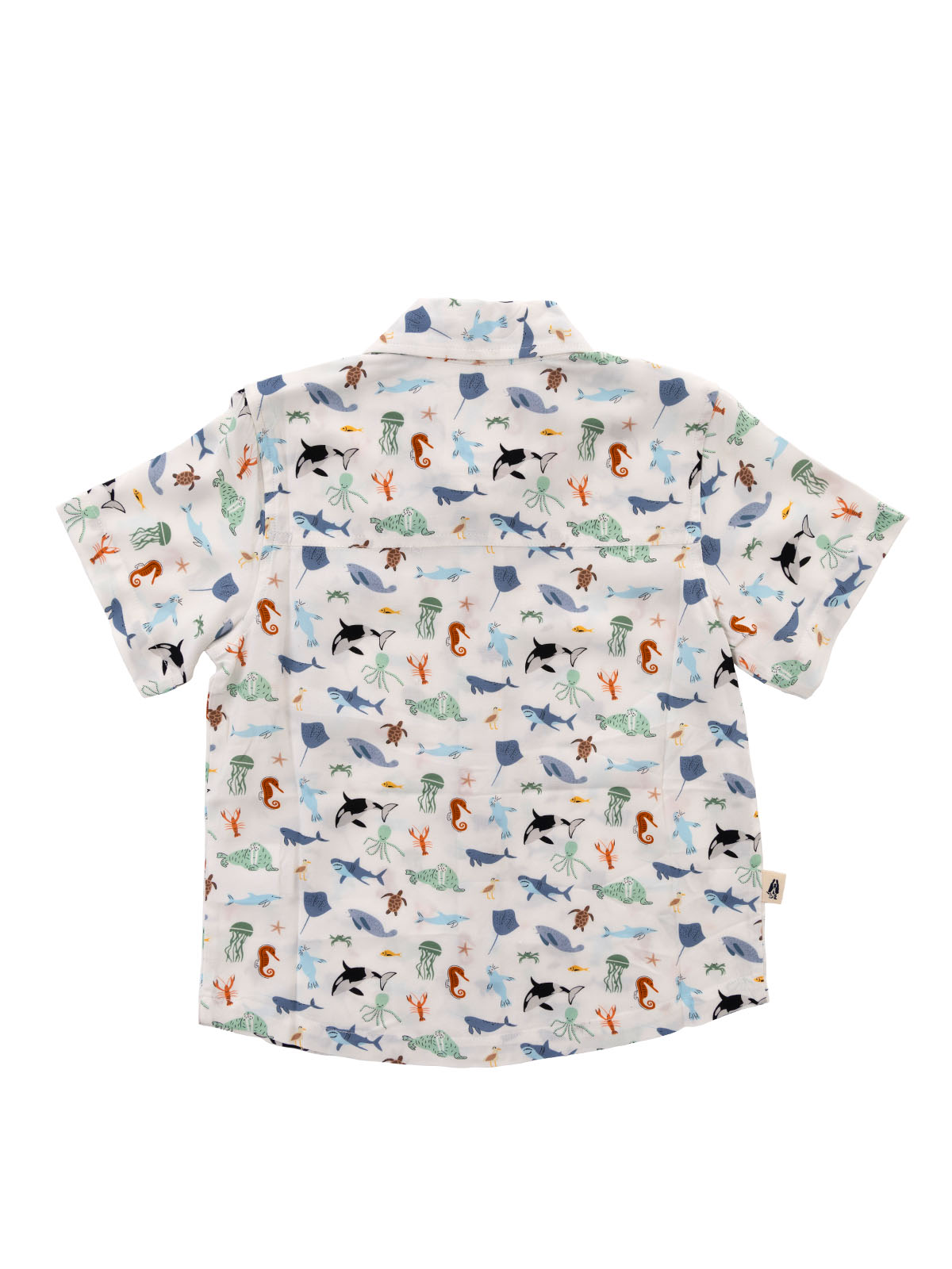 Camisa Niño Guayabera Blanco
