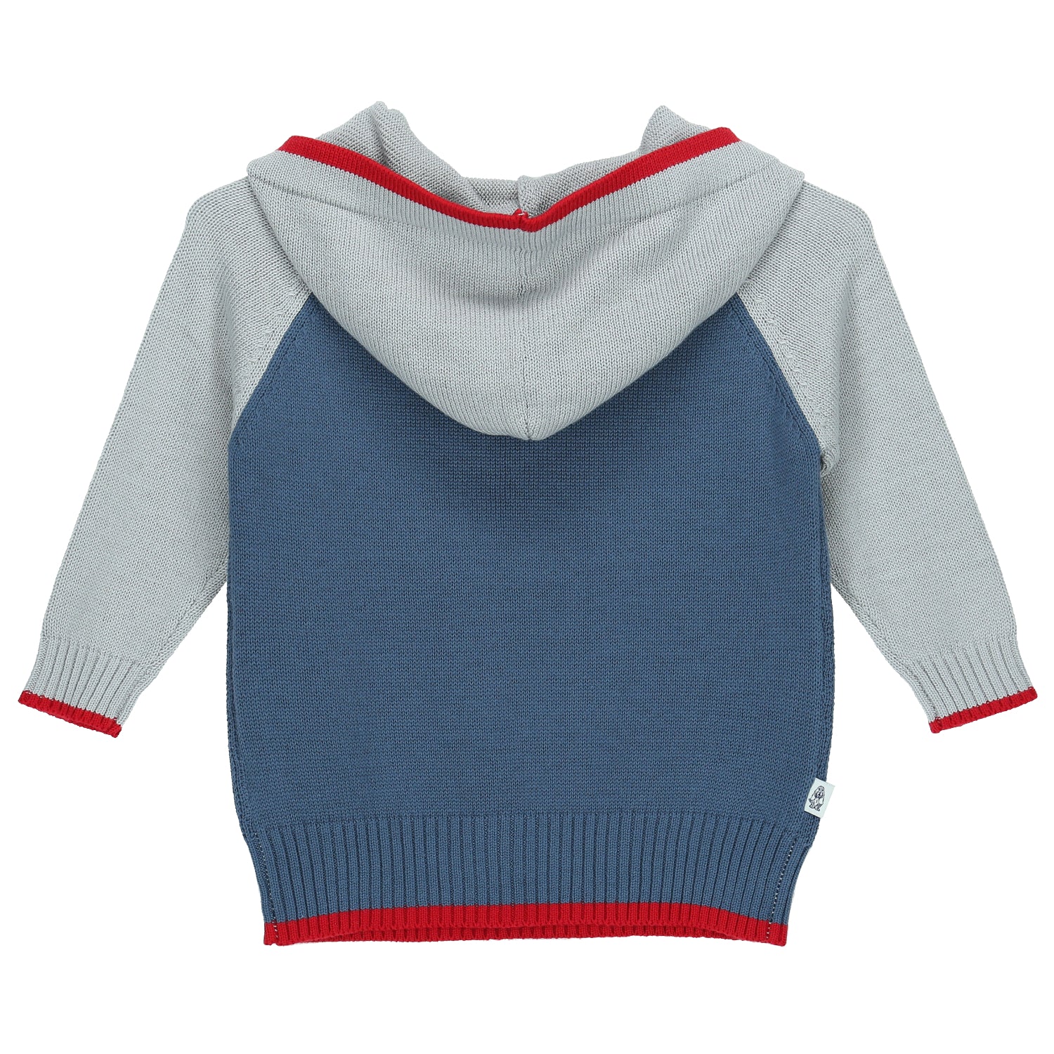 Sweater Shark